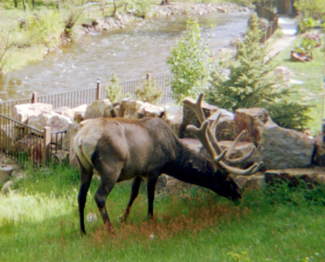 Skyline Cottages Estes Park Extérieur photo